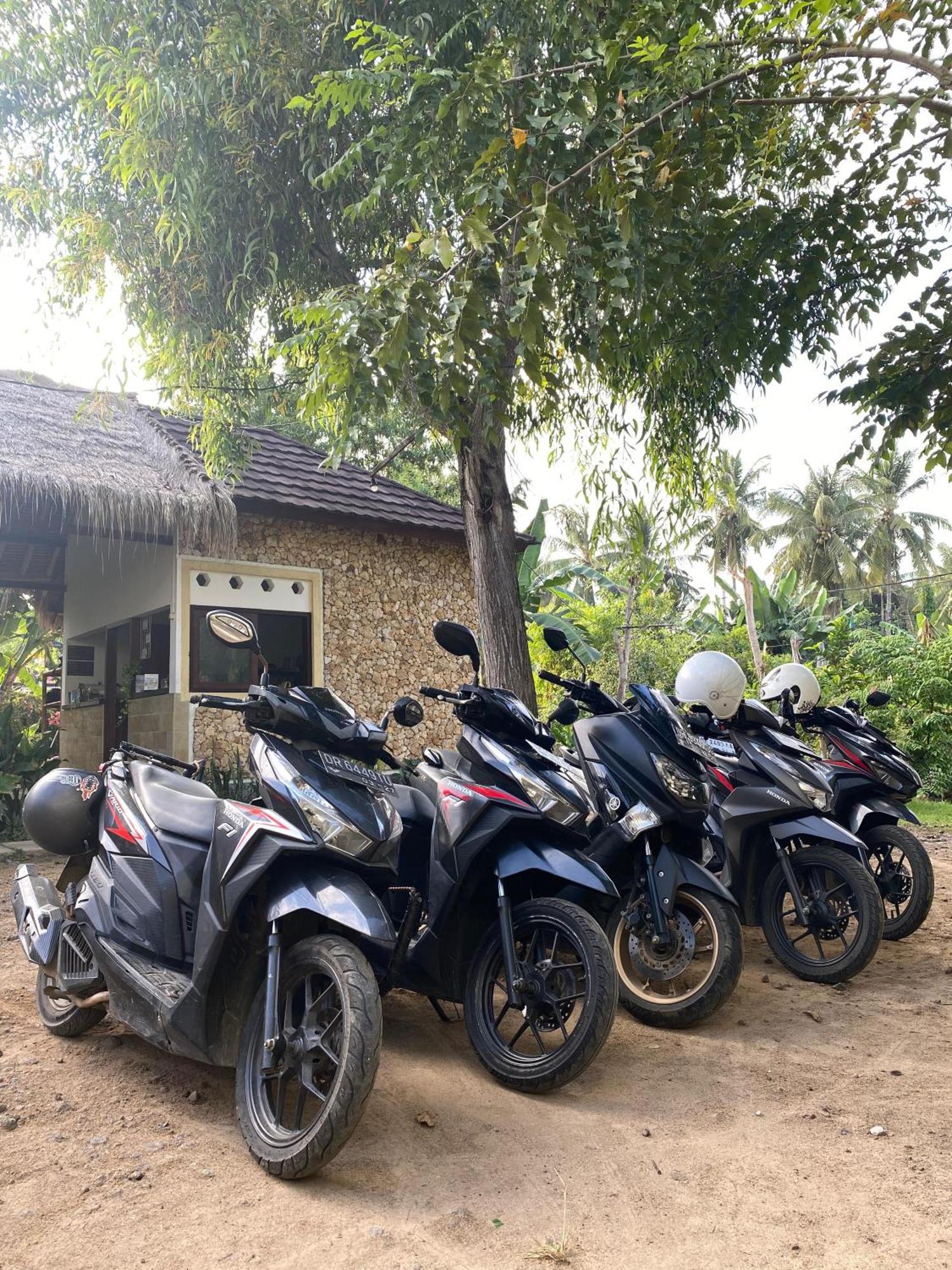 Cewin'S Homestay Kuta  Extérieur photo